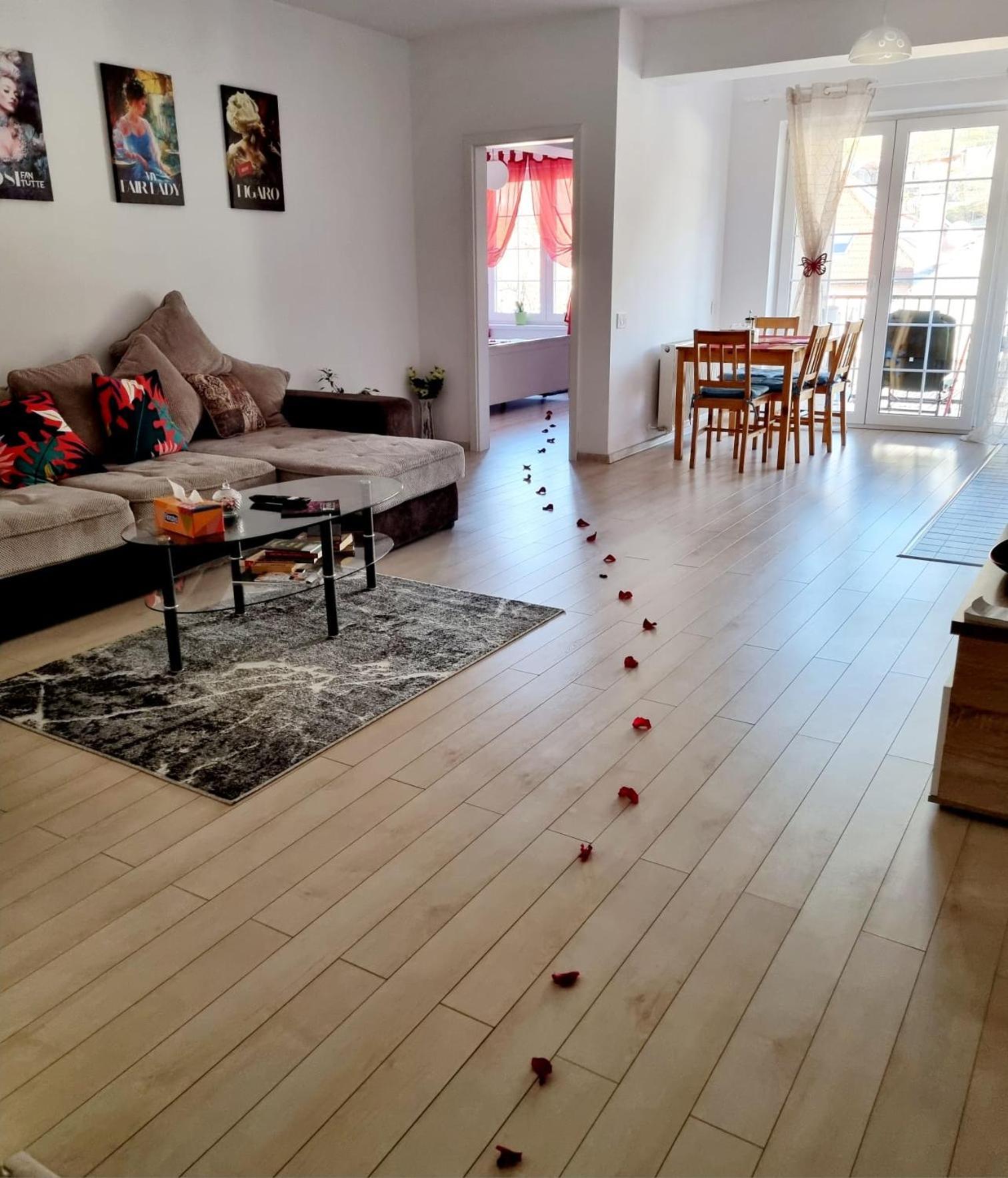 Opera Apart 2 Apartment Brasov Ngoại thất bức ảnh